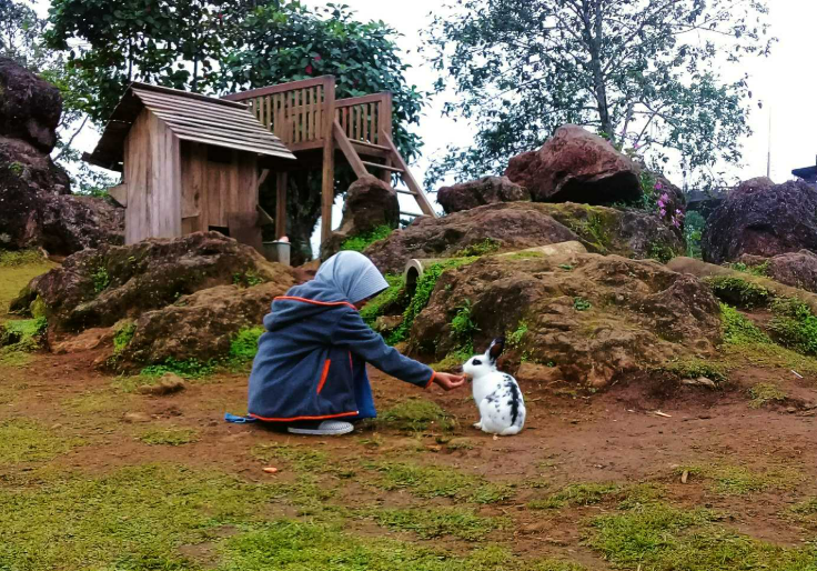 Bukit Kelinci
